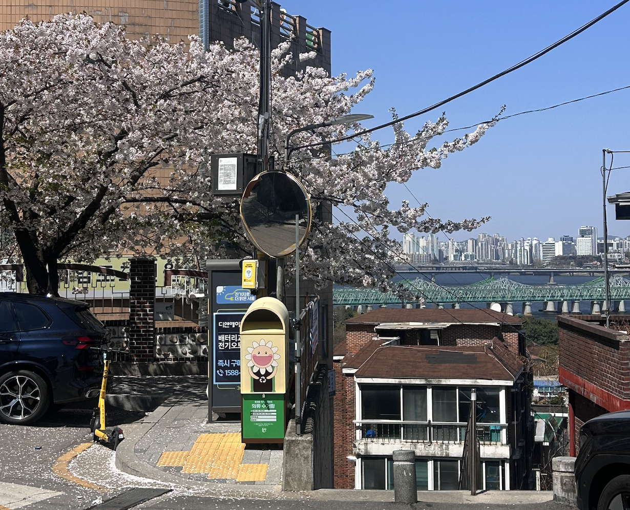 Students discovering a local Korean neighbourhood